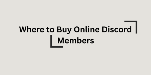 Where to buy Discord Members